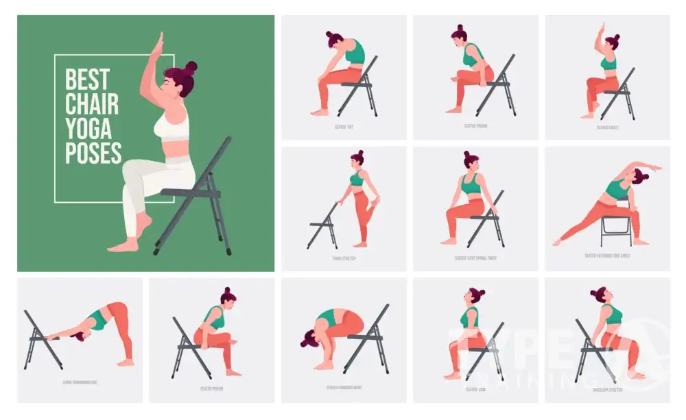 chair yoga for seniors seated cat cow pose demonstrated by an older adult on a stable chair